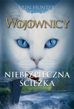 Niebezpieczna sciezka1.jpg