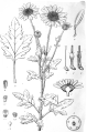 Miniatura wersji z 14:32, 22 sty 2017