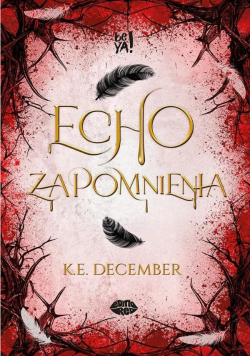 Echo zapomnienia1.png